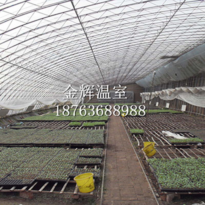 蔬菜大棚冰雹等強對流天氣應該如何做好防護？